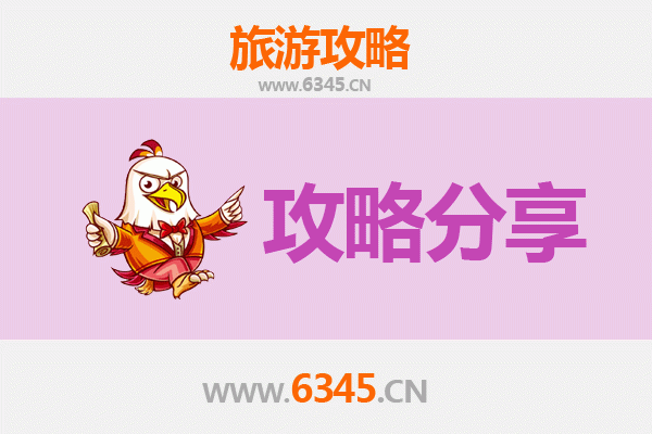 金华婺城旅游攻略：跟团与自由行深度对比